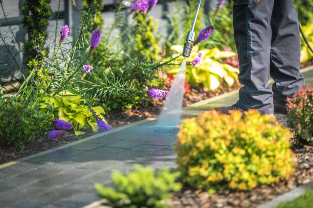 Ridgway, CO Pressure Washing Services Company