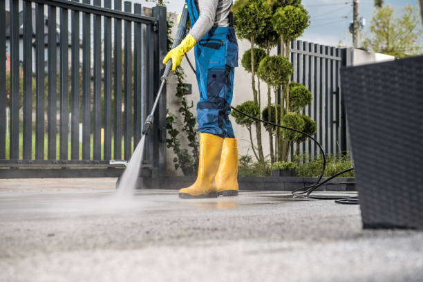 Best Restaurant Pressure Washing  in Ridgway, CO
